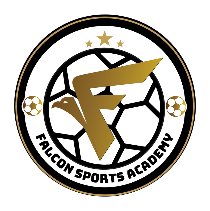 Falcon Sports Academy logo